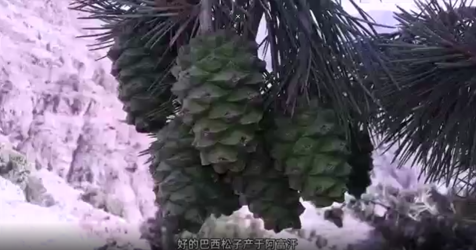 視(shì)頻(pín)标題 視(shì)頻(pín)标題